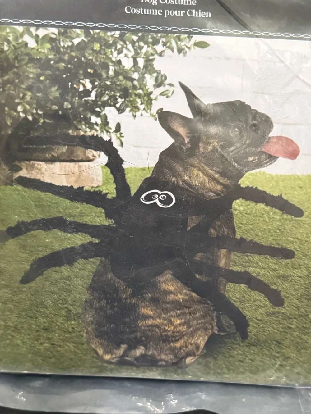 ASHLAND Halloween Fuzzy Black Spider Pet Dog Costume Size XS NEW